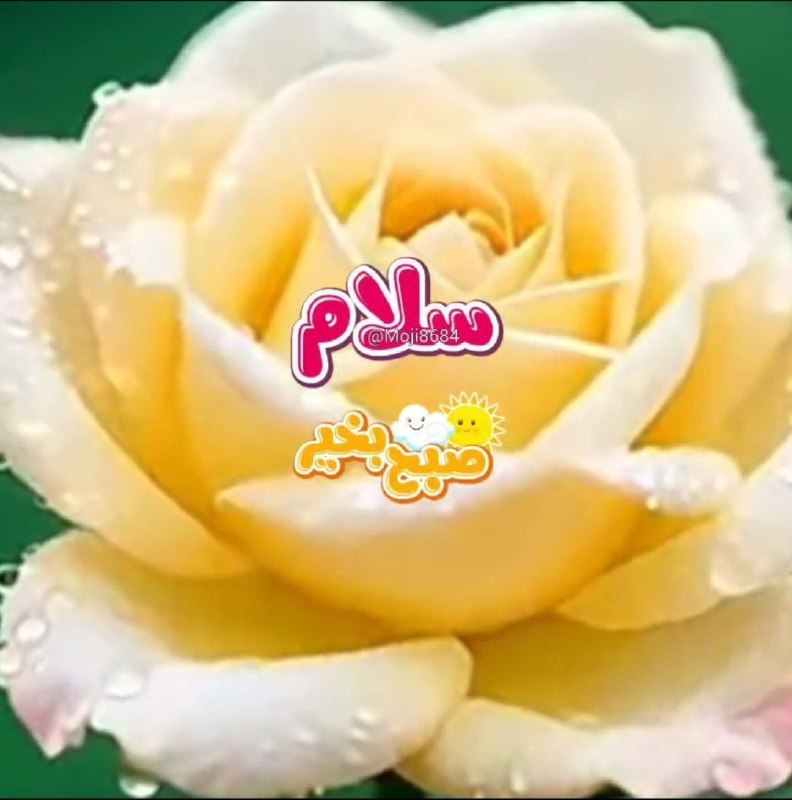 💞پندانه💞: خدایا..امروز را نیز با نام تو آغاز میکنم که روشنگر جان استکمک کن تا داستان زندگیام را به همان زیبایی بیافرینم که تو جه