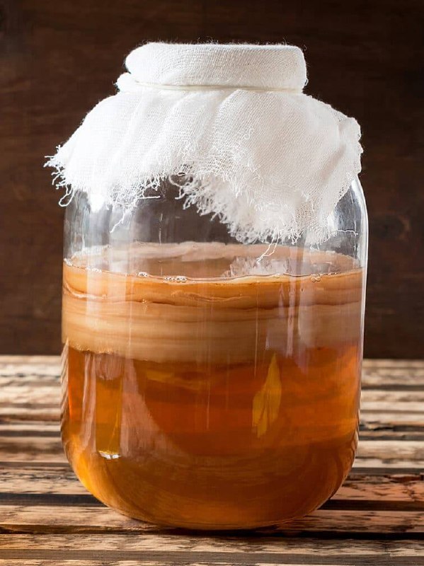 Отдам взрослый чайный гриб / камбучу в добрые руки. — фото 1