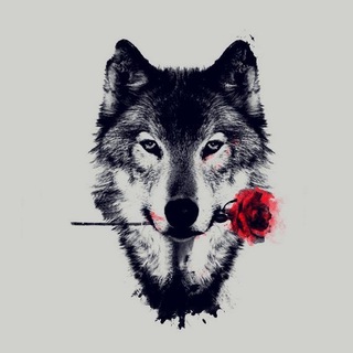 𝙿𝚁𝙸𝙽𝙲𝙴♫︎𝚆𝙾𝙻𝙵🖤🎼🍷𝐑𝐄𝐊𝐋𝐀𝐌