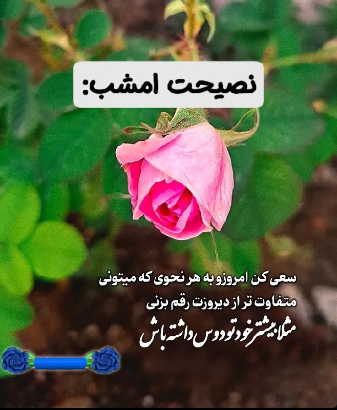 💓خوشگلترین عکس نوشته،زیباترین تبریکات واستوریهای اینستایی،کلیپهای بروز، طنز، والپیپر،شکرگزاری،تولد،انگیزشی،صبح،عصر،شب بخیر،💓: ☆ #نصیحت_امشب:🫰@mersikehastiypro