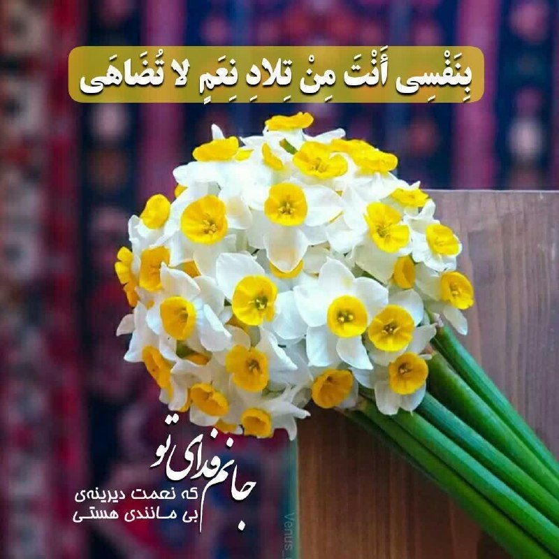 ازندریان خبر: 🕊•••[ ﷽ ]•••🕊✨السلام علیک یا اباصالح المهـدی✨السلام علیک یا بقیة الله فی ارضه ✨ السلام علیک و رحمة الله و برکاته ✍ مهدی 