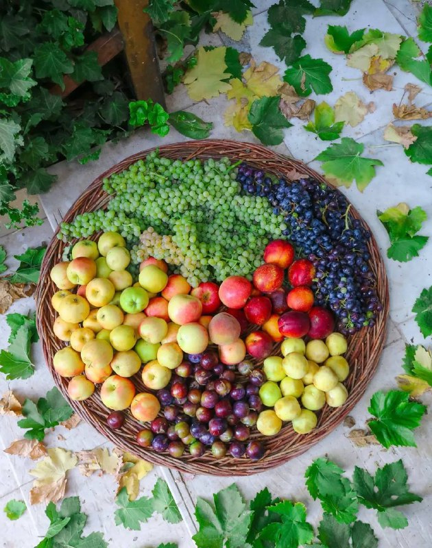 ذهن شاد و زندگی شاد: ‎آدمها همیشه نیاز‎ به نصیحت ندارند‎گاهی تنها چیزی که واقعا ‎به آن محتاجند‎دستی است که بگیرد‎گوشی است که بشنود‎و قلبی است