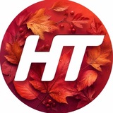 Телеканал НТ | Новгородская область