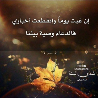 🌹وَتَوَاصـَو بِالْحَقِ وَتَوَاصـَو بِالصَّبْر🌴