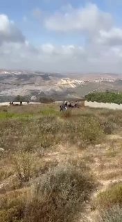 מהמקום בו נפצעו קצין צבא הכיבוש ושומר ההתנחלות ושני פלסטינים נפצעו באורח קשה סמוך לכפר טל, מדרום-מערב לשכם.