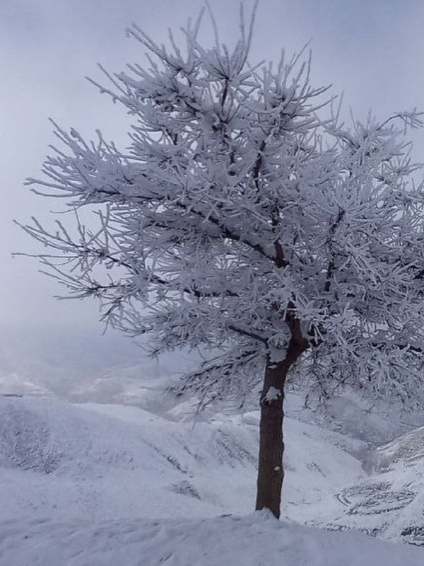 آب و هوای مشهد: 🔸️تو این گرمای هوای مشهد، بیایید یادی کنیم از دمای منفی ۲۰ درجه مشهد در دیماه ۱۴۰۱ 🥶📸Mdt@HavashenasiMashhad🔸️تو این گرم