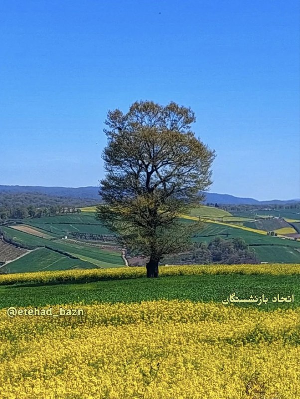 اتحاد بازنشستگان: 🍃🍃 دوشنبه ۲ شهریور ۱۴۰۵۲۴ آگوست ۲۰۲۶۱۱ ربیعالاول ۱۴۴۸اتحاد بازنشستگان@etehad_bazn