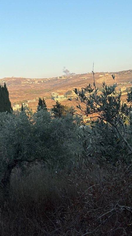 🚨 פשיטה כוונה ליער שנמצא בין העיירות קונין ובית יהון.
