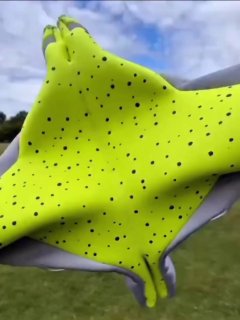 How sticky gloves help goalkeepers catch impossible shotsDid you know? 🎓