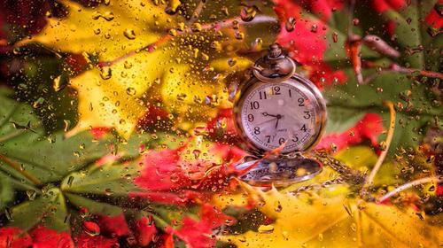 عرفان: دیروز را نمیدانستیم و امروز شدامروزمان تمام نشده فردا میشودفردا را به خیر و دیروز را به گذشته بسپاریمو تا امروزمان امروز