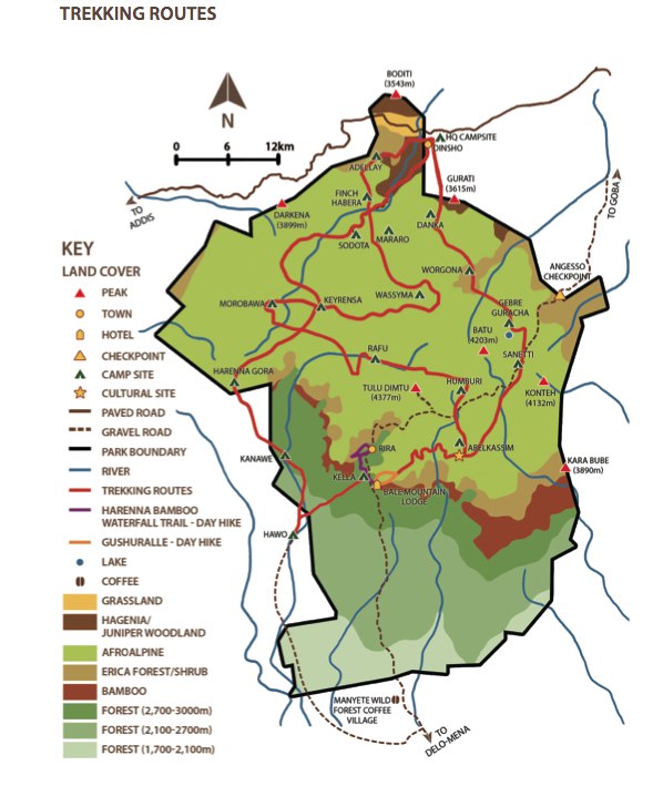 衣索比亞 | 巴萊山（Bale Mountains）國家公園