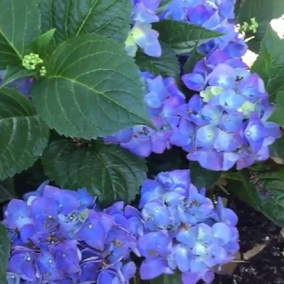 İnvestment2 Telegram Group Link