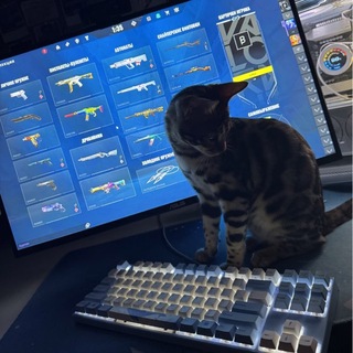 Telegram profile photo for ловаке в кс2