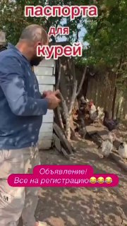 Кур понесли в МФЦ из-за обязательного учёта домашней птицы. С 1 сентября владельцы личного подсобного хозяйства, у которых больше десяти пернатых (куры, утки, гуси, индейки и т. д., вплоть до страусов), должны зарегистрировать своё поголовье в госсистеме "