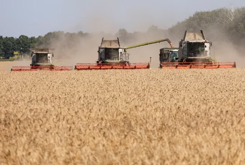 Україна може втратити до $3 млрд через російські удари по портах, - Reuters