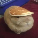 Чириканье🪨