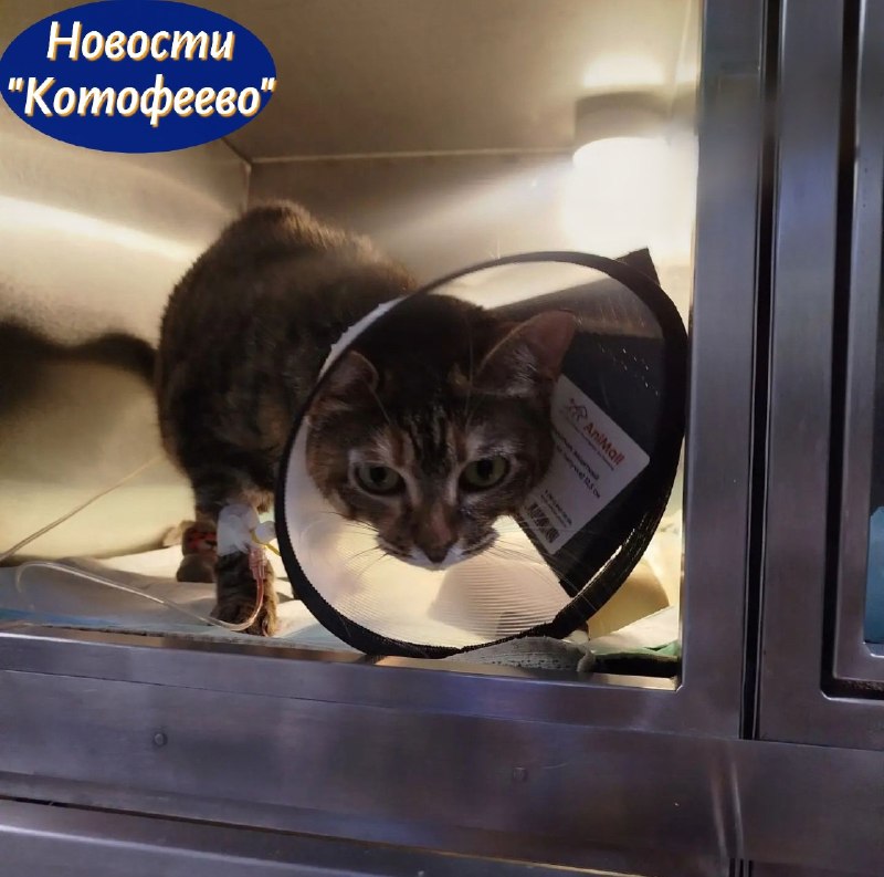 Друзья, спешим отблагодарить каждого, кто вчера помог...