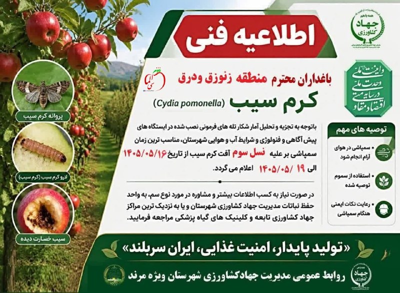 زنوزآلماسی | zunuzalmasi: قابل توجه باغداران منطقه زنوزق و درقخانواده بزرگ زنوزی‌ها 🍎تلگرام👇https://t.me/joinchat/AAAAAD2pUMB96-Rs4vhn6Aاینستاگرام
