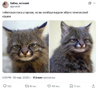 Дамы и господа, разбираем новых тотемных животных