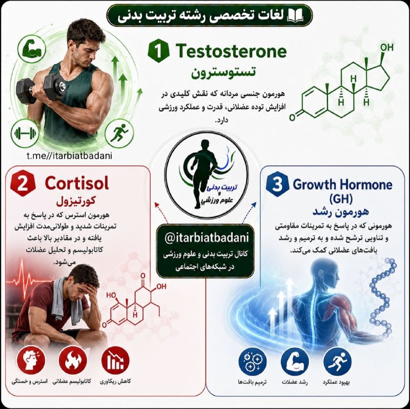 تربیت بدنی و علوم ورزشی: ✍ لغات تخصصی رشته تربیت بدنی:1️⃣ 🧬 Testosteroneتستوسترون (هورمون جنسی مردانه که در حفظ و افزایش توده عضلانی، قدرت و عملک