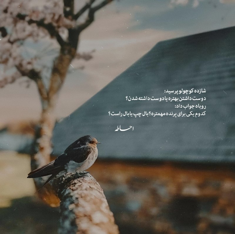 پروفایل ست عکس‌ نوشته عاشقانه: ➰Text ‌‌‌‌‌‌‌‌‌‌‌‌‌‌‌‌‌‌‌‌‌‌‌‌‌‌‌‌‌‎‌‌‎‌‌‌‎