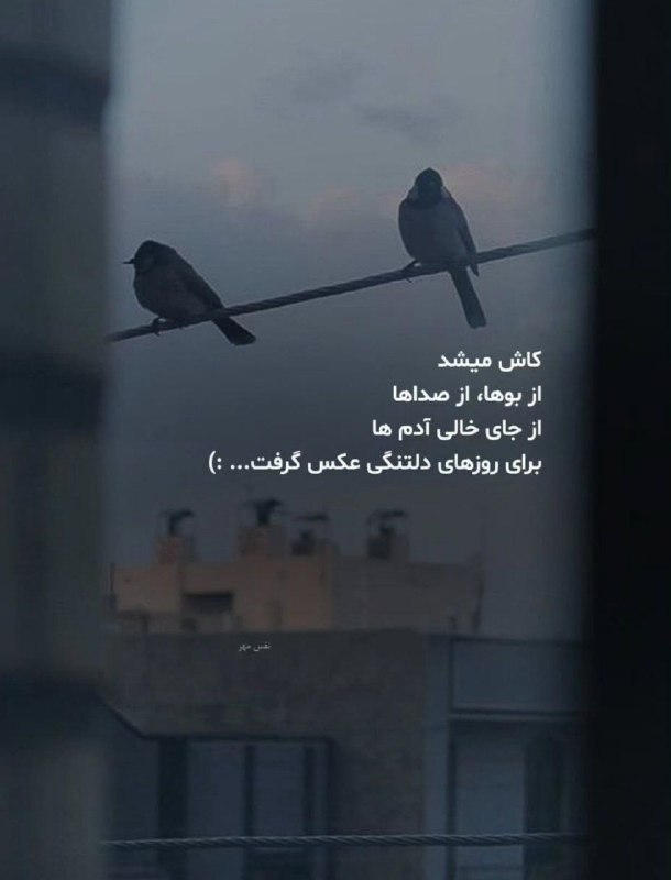 👑 شهر عکس 👑: 💜 @shahreeaks 💜