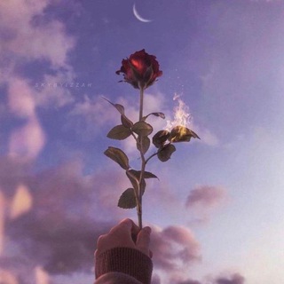 Amazing Wallpapers 💙 Telegram Group Link
