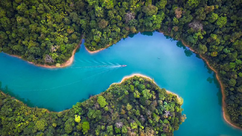 A jungle adventureAerial view of Khao Sok National Park, Surat Thani, Thailand (© Peetatham Kongkapech/Getty Images)