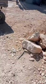 المستوطنون يواصلون الاعتداءات على أهالي خلة الحمص جنوب الخليل