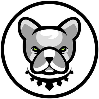 Pitbull Token Official Telegram Group Link