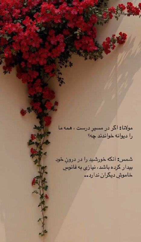 AxProfile | عکس پروفایل: · · ─ @ax_proftel ─ · ·