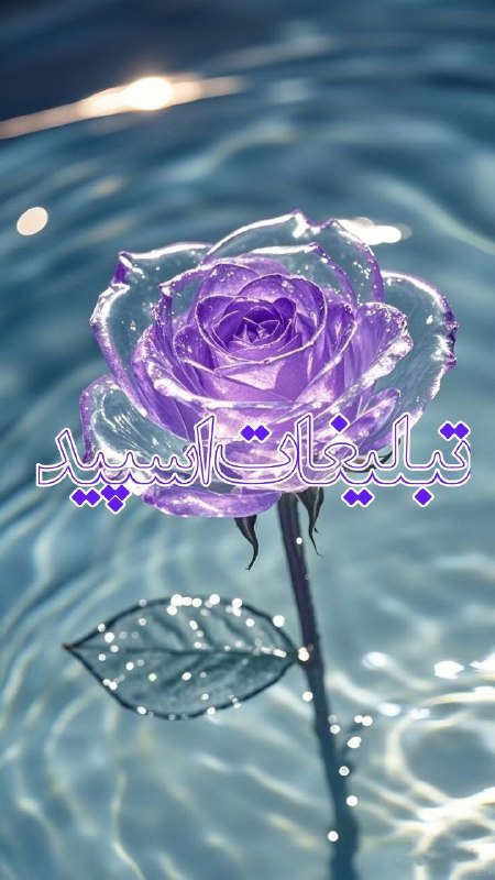لینکدونی و گروه چت تهران: ❶﹚ نام : ⎯꯭᪵̽𝆺꯭𝅥𝐖𝐈𝐋𝐃𓆩᪵🜲꯭𓆪̥𝐖𝐎𝐋𝐅⎯꯭꥓᪵ͯ⟶❷﹚ نو؏ تبلیغات : #telegram❸﹚ توضیحات :𝑊𝐸𝐿𝐶𝑂𝑀𝐸 𝑇𝑂┈┈∘┈˃༒˂┈∘┈┈#𝑨𝑩𝑹𝑮𝑷 𝐖𝐈𝐋𝐄𝐃𝐖𝐎𝐋𝐅 sɨռᴄɛ"