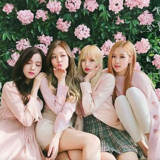 •○●BLACK pink●○• Telegram Group Link