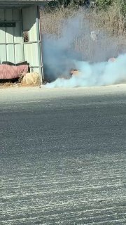 כוחות הכיבוש סוגרים את תחנת הדלק בעיירה ג'בה ויורים פצצות גז מדמיע מדרום לג'נין.