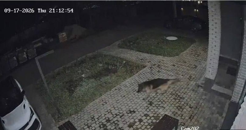 Иллюстрация к посту канала ОК! Воронеж