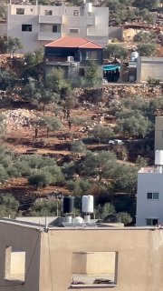 כוחות ישראל מסתערים על בתים בעיירה ביתא, דרומית לשכם, ומאלצים את התושבים לפנות אותם בכוח.
