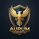 AURUM TEAM