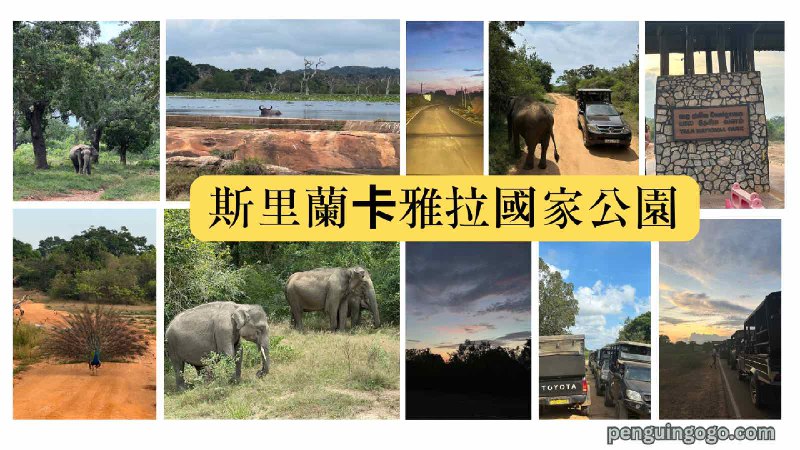 斯里蘭卡Safari - 雅拉國家公園