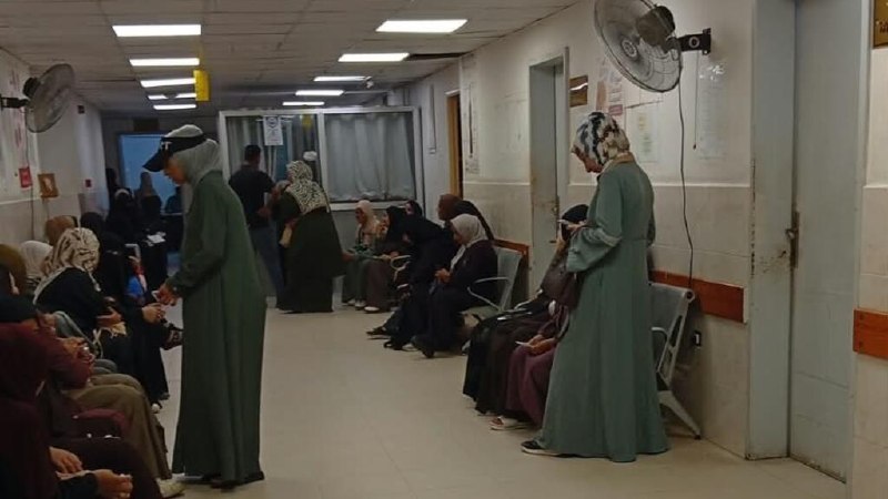 מקרי הפלות ספונטניות גדלו פי שלושה...סיוט שרודף נשים הרות בעזה
