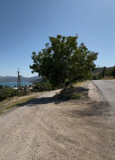 9-room apartment, 16000 m² for sale