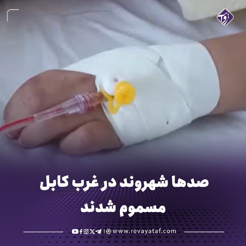 روایت revayataf: ◾️منابع محلی میگویند صدها شهروند، از جمله شمار زیادی کودک، در سه روز گذشته در مناطق مختلف غرب کابل، بهویژه دشتبرچی، ب