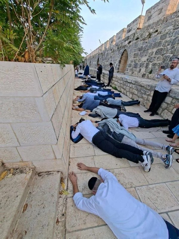 הבוקר, במהלך הבחירות לממשלת ישראל. מתנחלים הסתערו על חצרות מסגד אל-אקצא, וביצעו את מה שהם מכנים "השתטחות אפ…