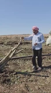 טנקים של צה"ל השמידו מטע זיתים שלם מדרום לאלקוניטרה, בדרום סוריה. אין כאן תירוצים, והכל עניין של השקפת עולמ…