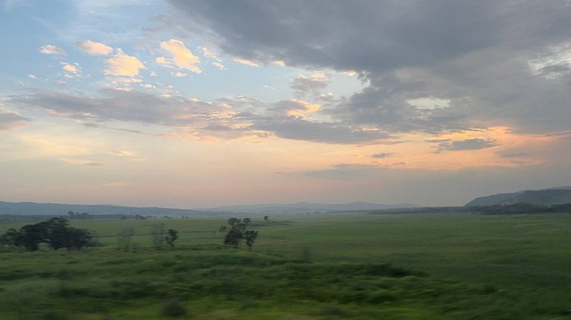 Дикий крайДикий край