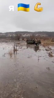 t.me