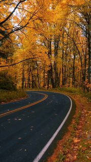 https://t.me/bmw_mpower_club