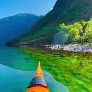 NATURE WORLD TELEGRAM