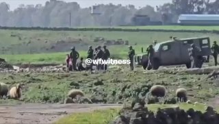 🇸🇾🇮🇱 צה"ל עצר מספר סורים באזורי קוניטרה.