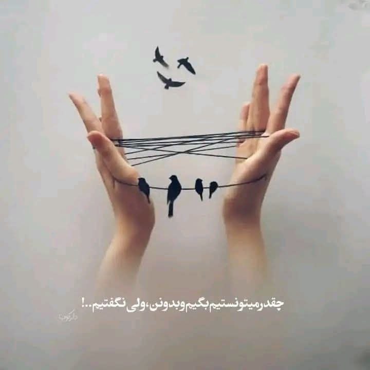 📸 گلچین بهترینها 🗒🎼: رسانه پست