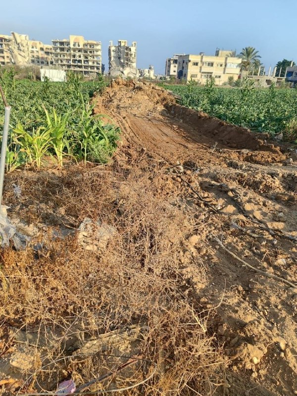 רשת חדשות ירושלים